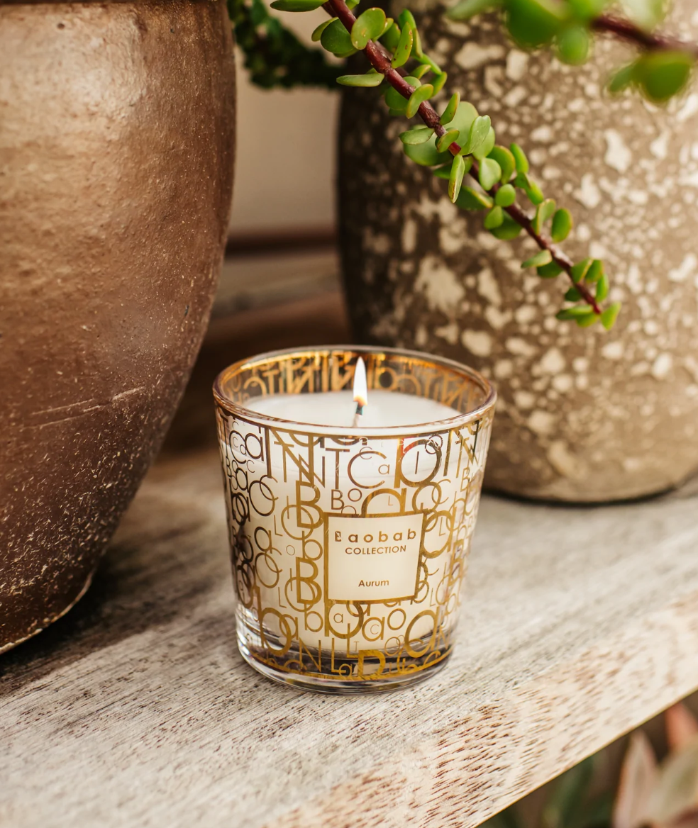 My first Baobab Aurum