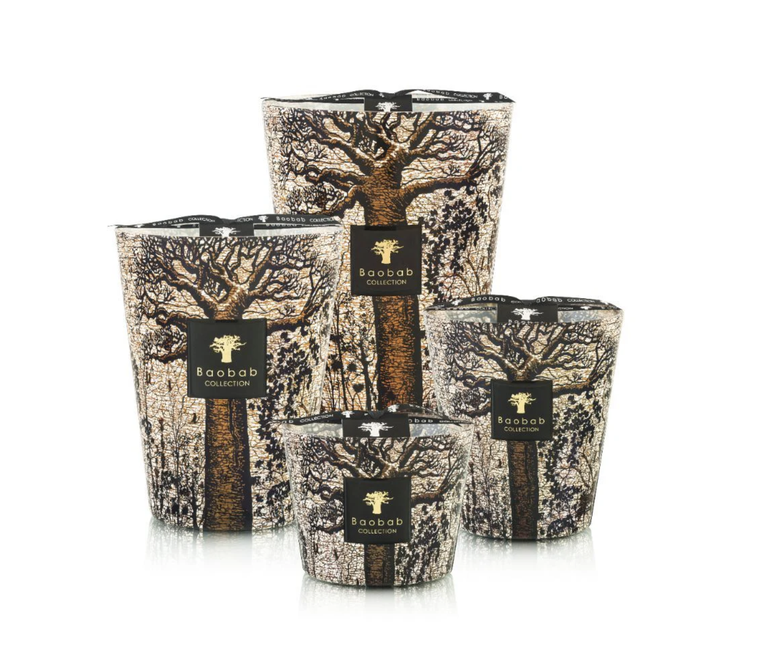 Candle Trees Morondo