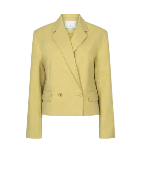 Image of Blazer Reyes cropped lime