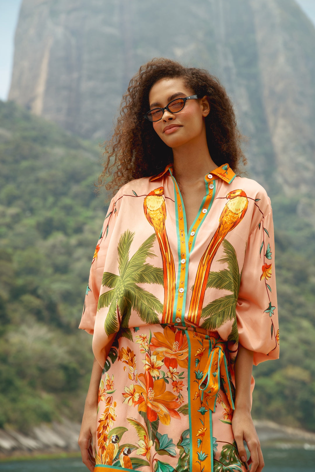 Image of Blouse birds canto dos passers