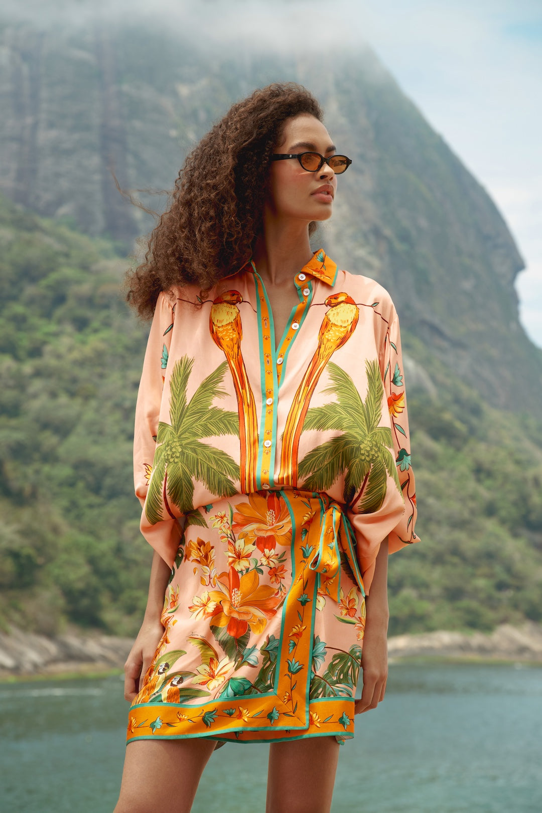 Image of Skirt birds canto dos passers