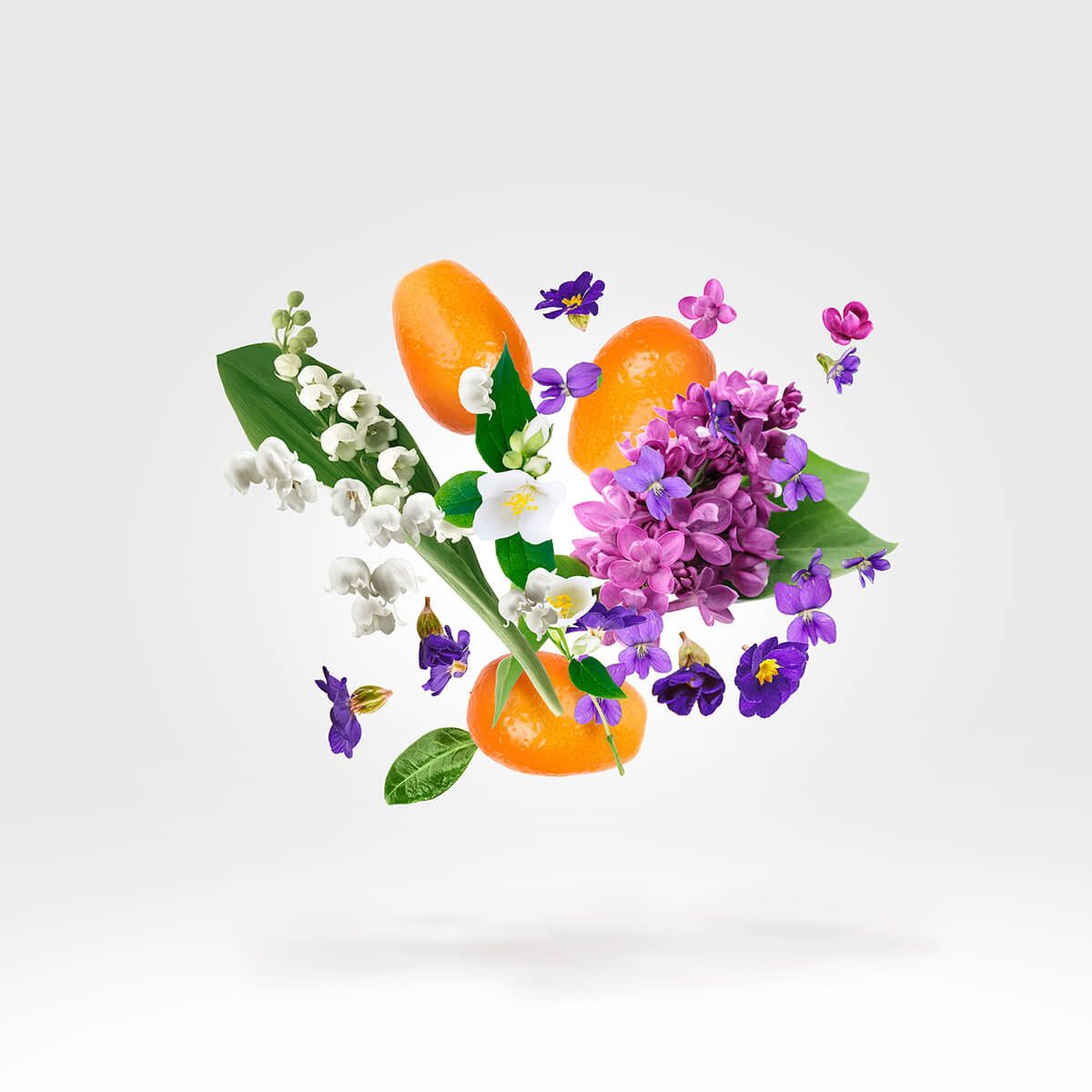 Image of Dama Bianca edp