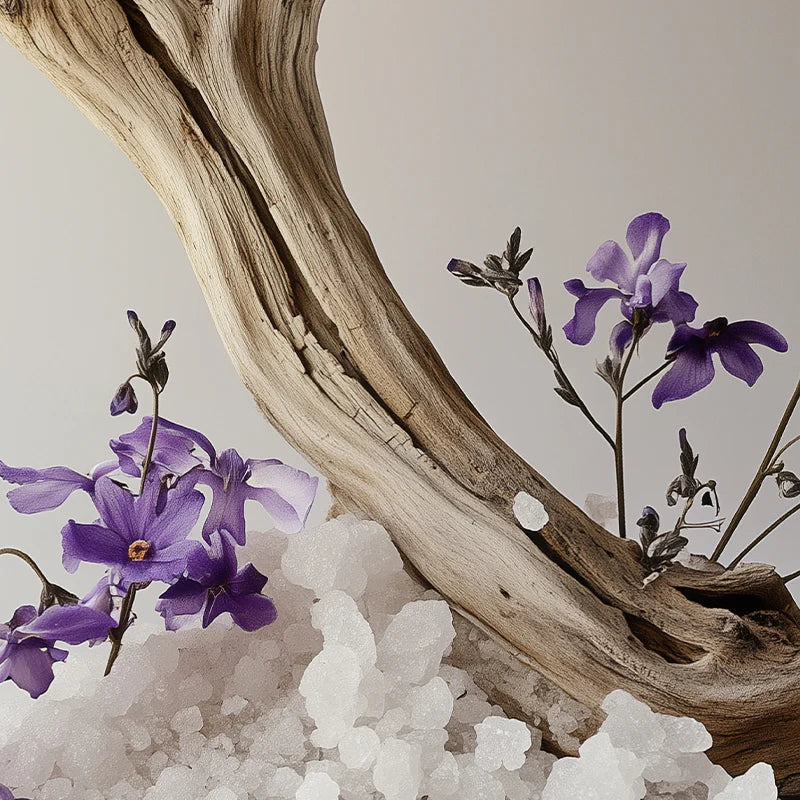 Image of Bois Flotté edp