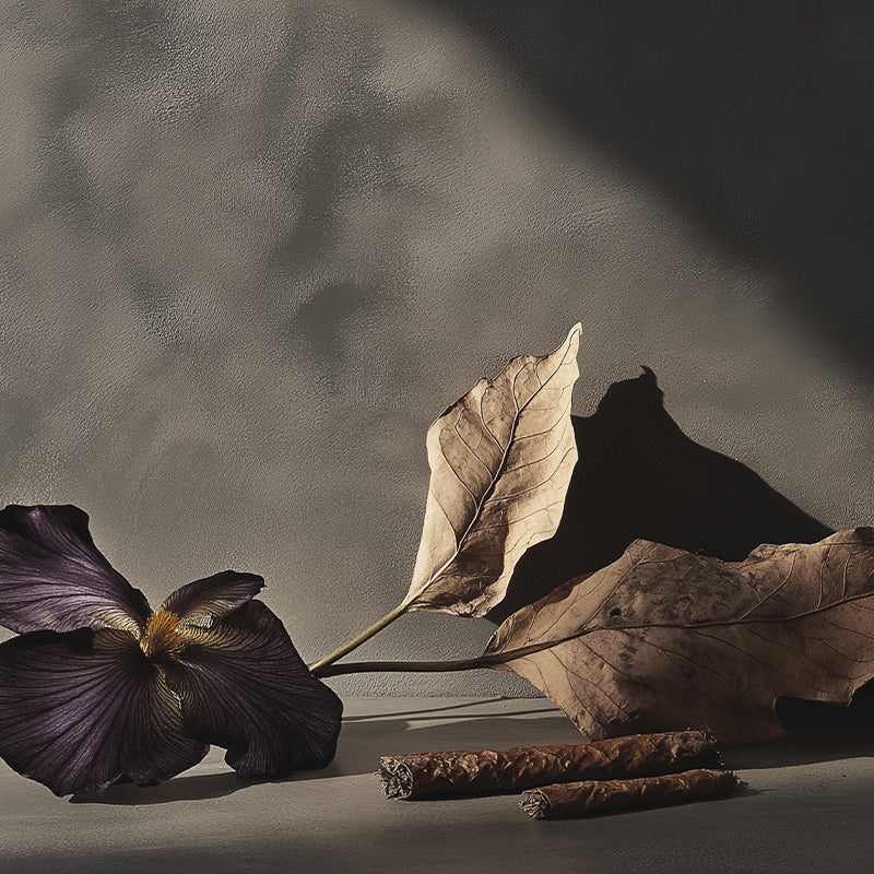 Image of Tobacco Memories edp