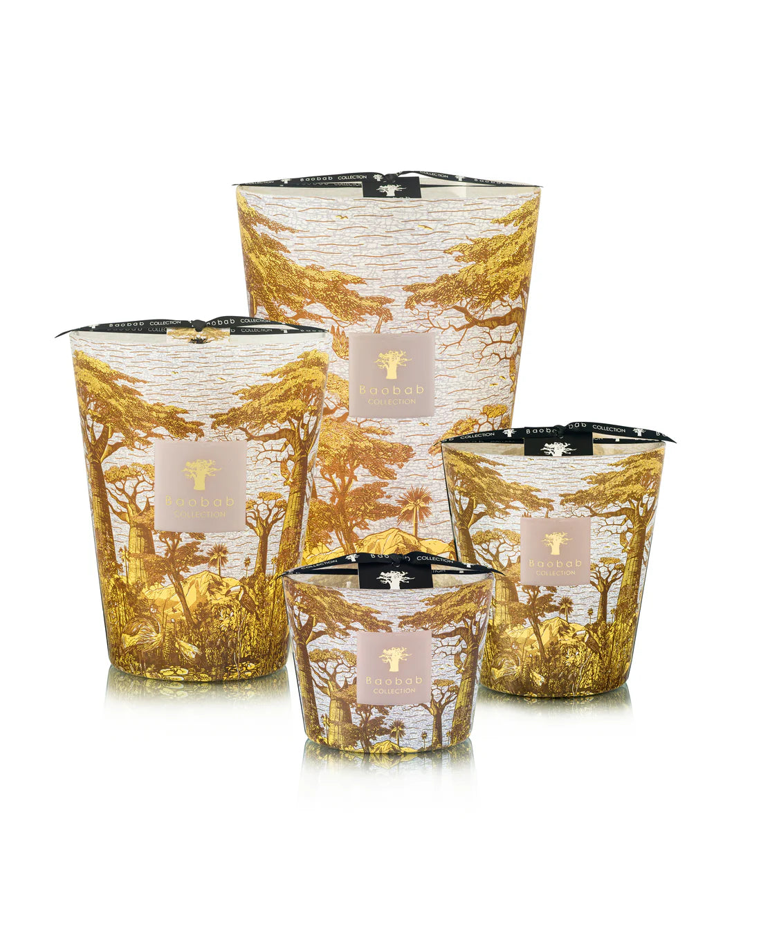 Candle Sacred Trees Bounkani