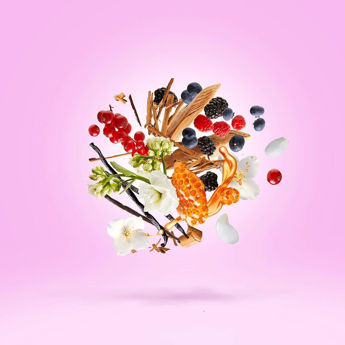 Image of Gran ballo edp