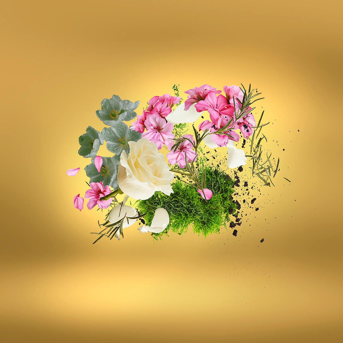 Image of Casa Futura edp