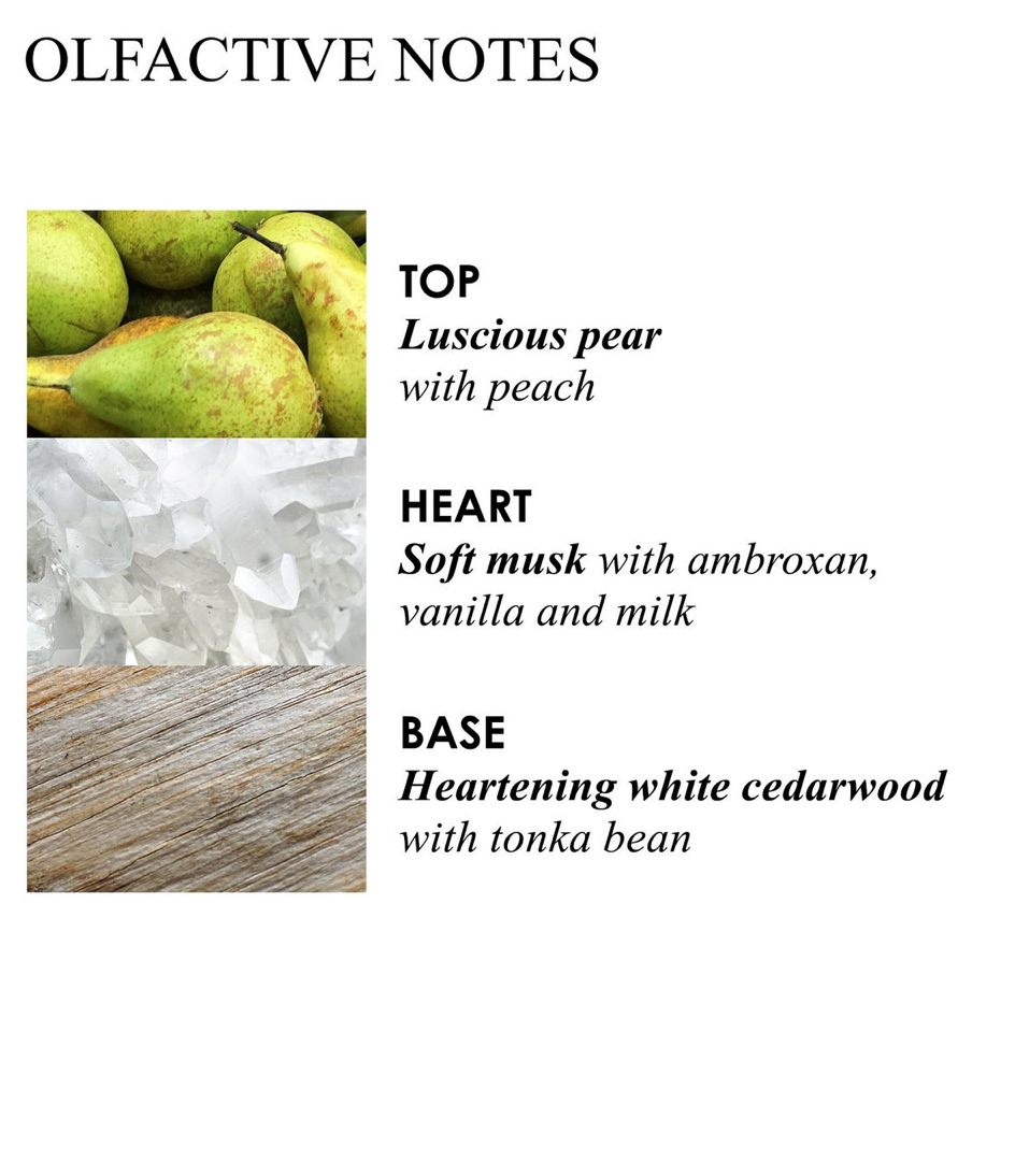 Vegan Milk Musk Body wash