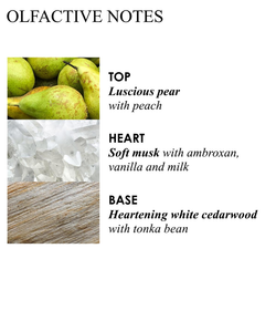 Image of Vegan Milk Musk Body wash