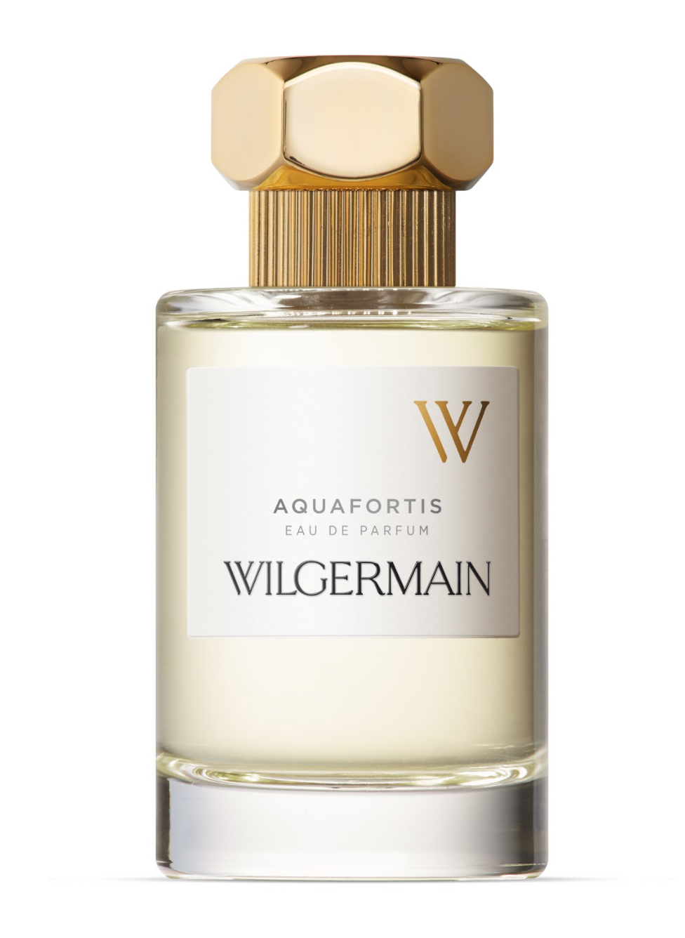 Image of Aquafortis 100ML edp