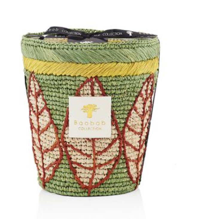 Image of Ravintsara Ravina