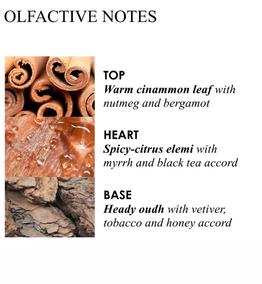 Image of Mesmerising Oudh  hand wash