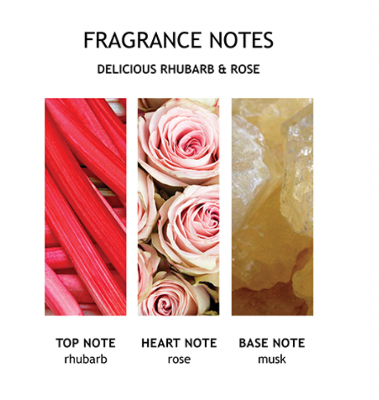 Image of Rhubarb & rose body wash