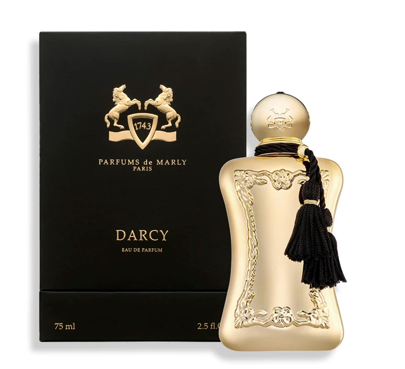 Darcy edp