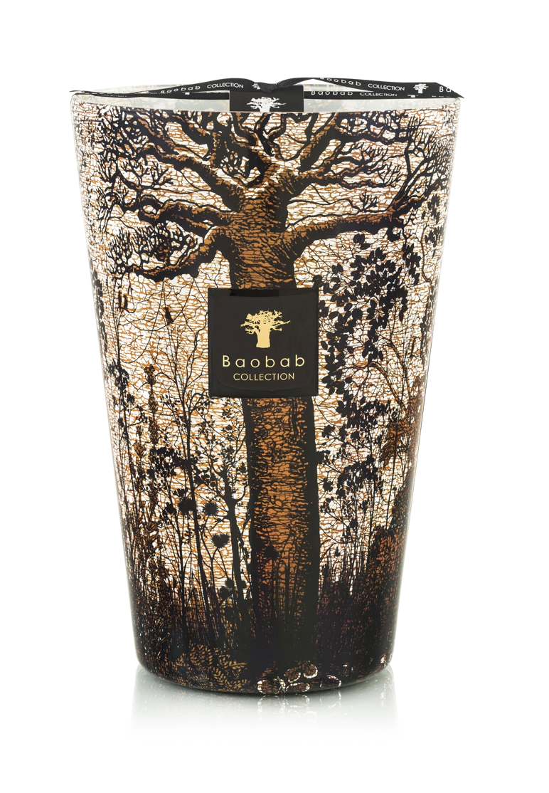 Image of Candle Trees Morondo